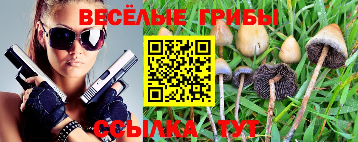 Димитровград  Псилоцибиновые грибы MAGIC MUSHROOMS  Вход с VPN  Псилоцибиновые грибы MAGIC MUSHROOMS 