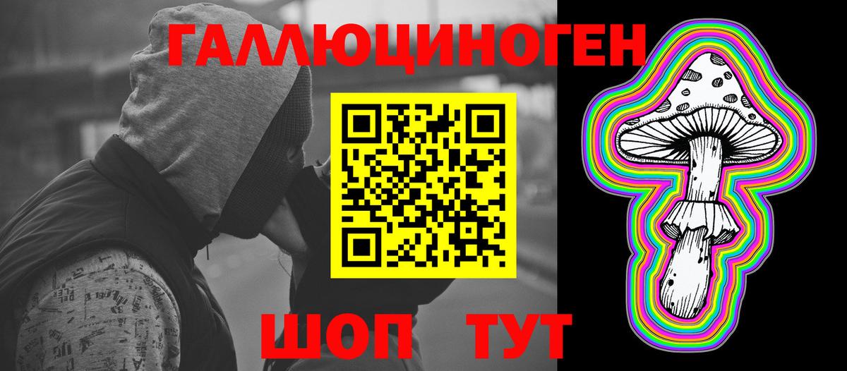 Галлюциногенные грибы Psilocybe Димитровград